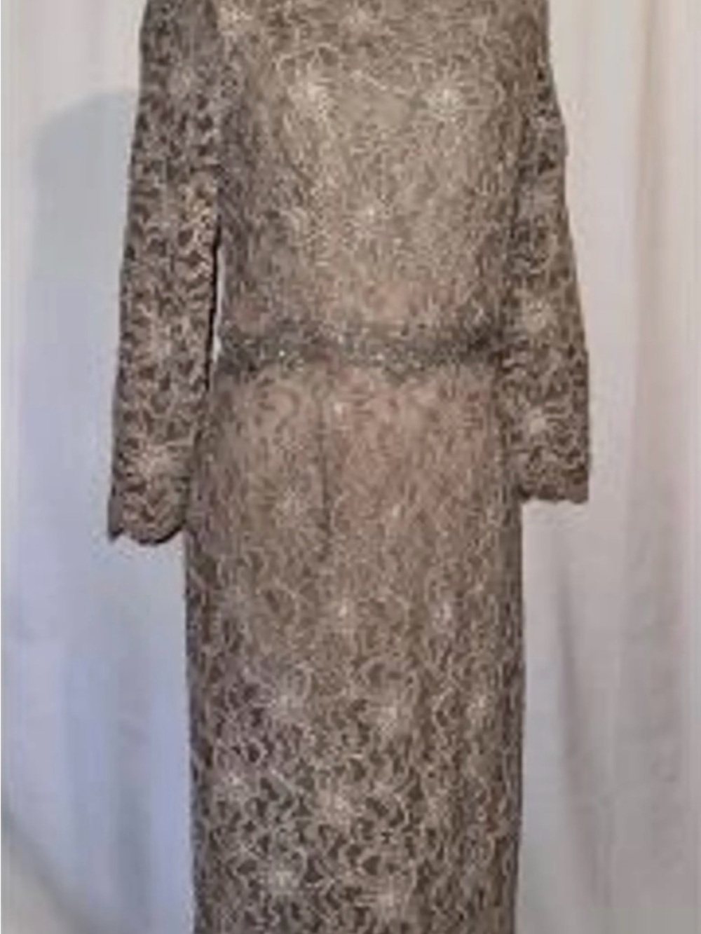 MARINA Long Sleeve Lace Evening Gown in Champagne Taupe